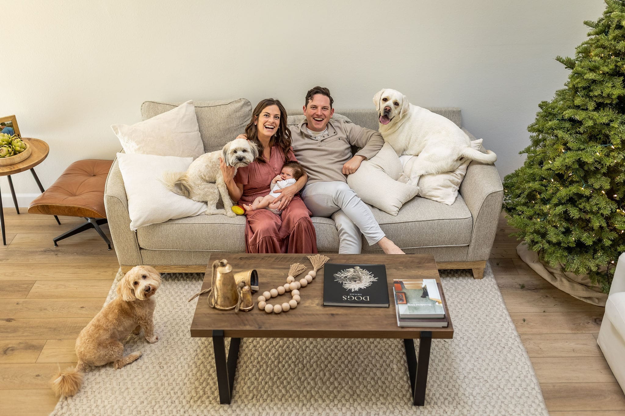 A mom and dad sit on a couch with their newborn and three dogs during christmas after visiting baby boutiques in san diego