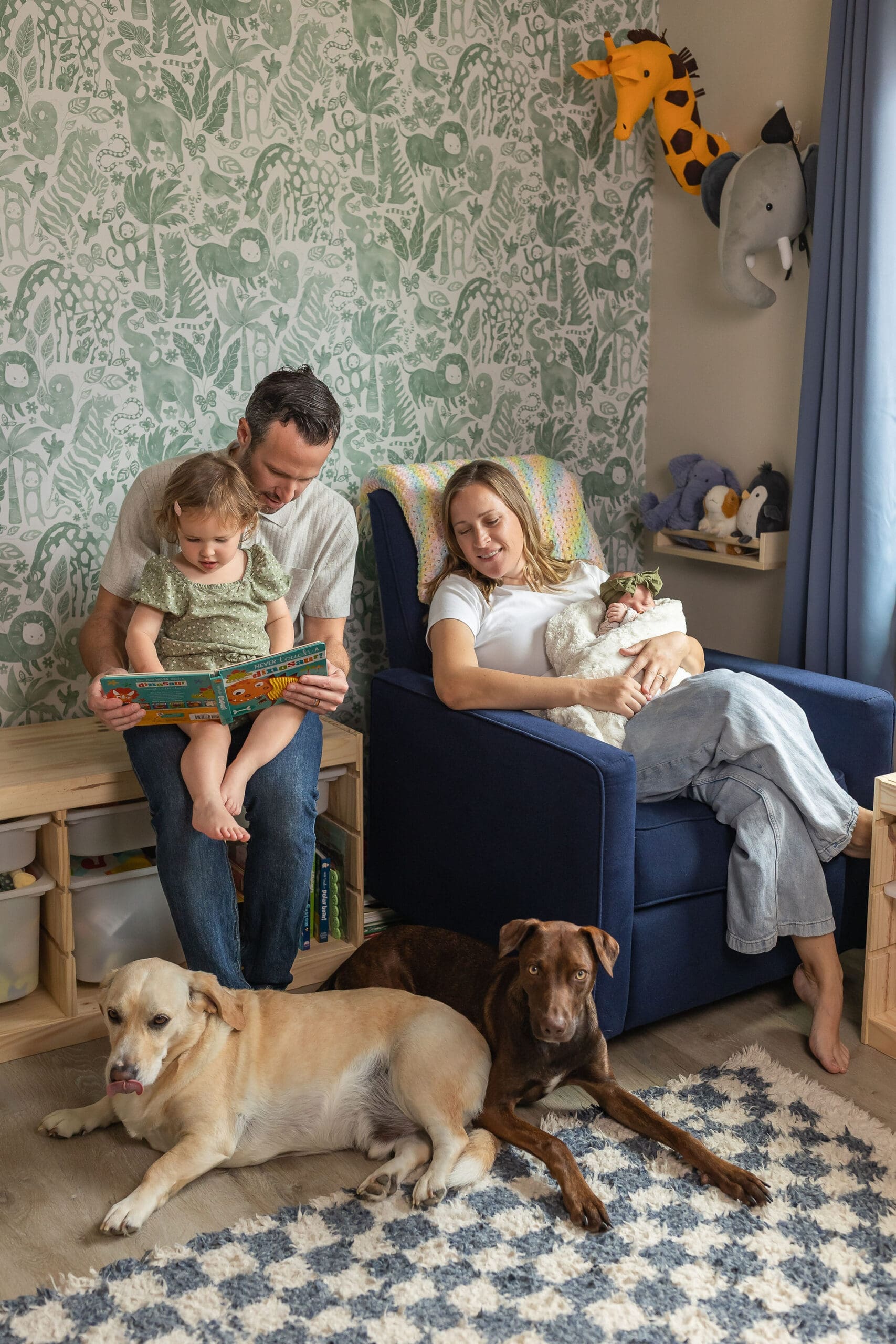 A toddler girl reads a book in dad's lap while mom sits in nursing chair holding newborn and dogs lay next to them