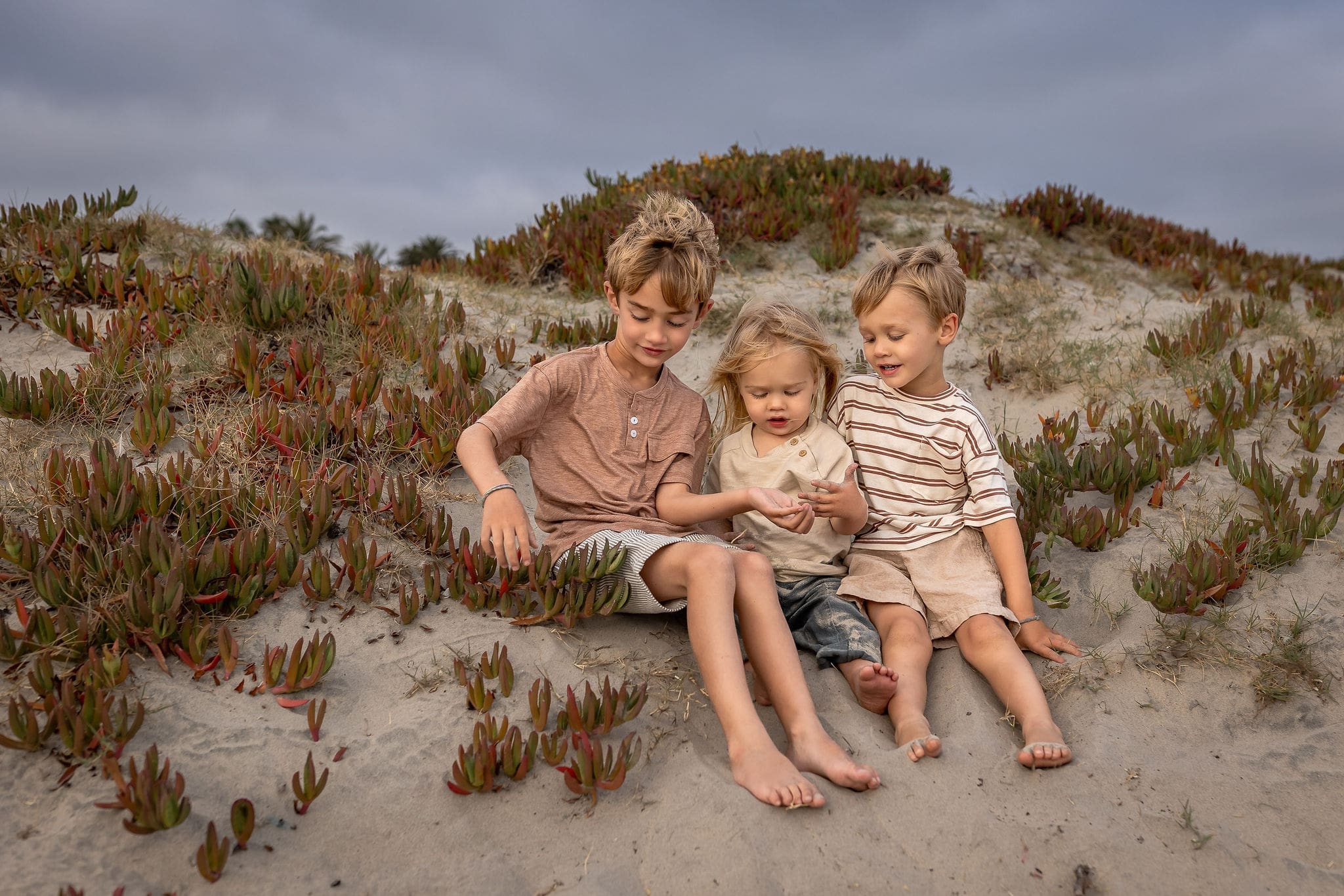Three young siblings sit on a beach dune playing with the sand and plants on a windy day after visiting preschools in san diego